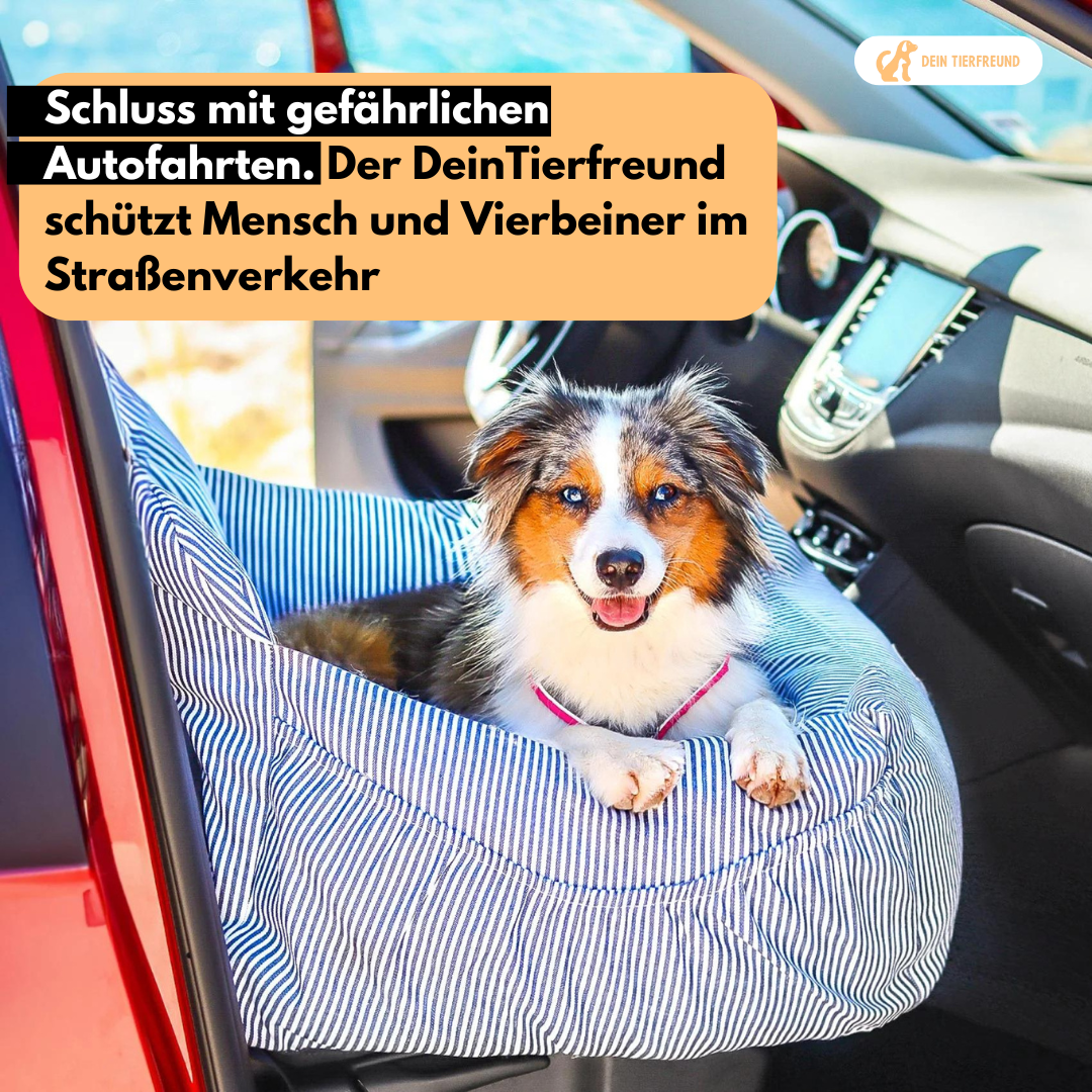 Premium Auto Hundekorb inkl. Sicherheitsgurt