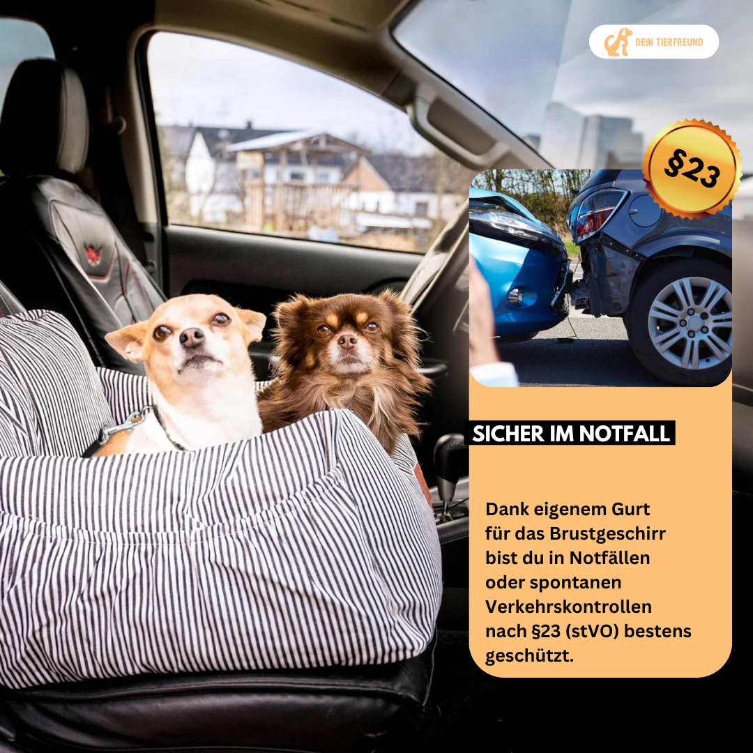 Premium Auto Hundekorb inkl. Sicherheitsgurt